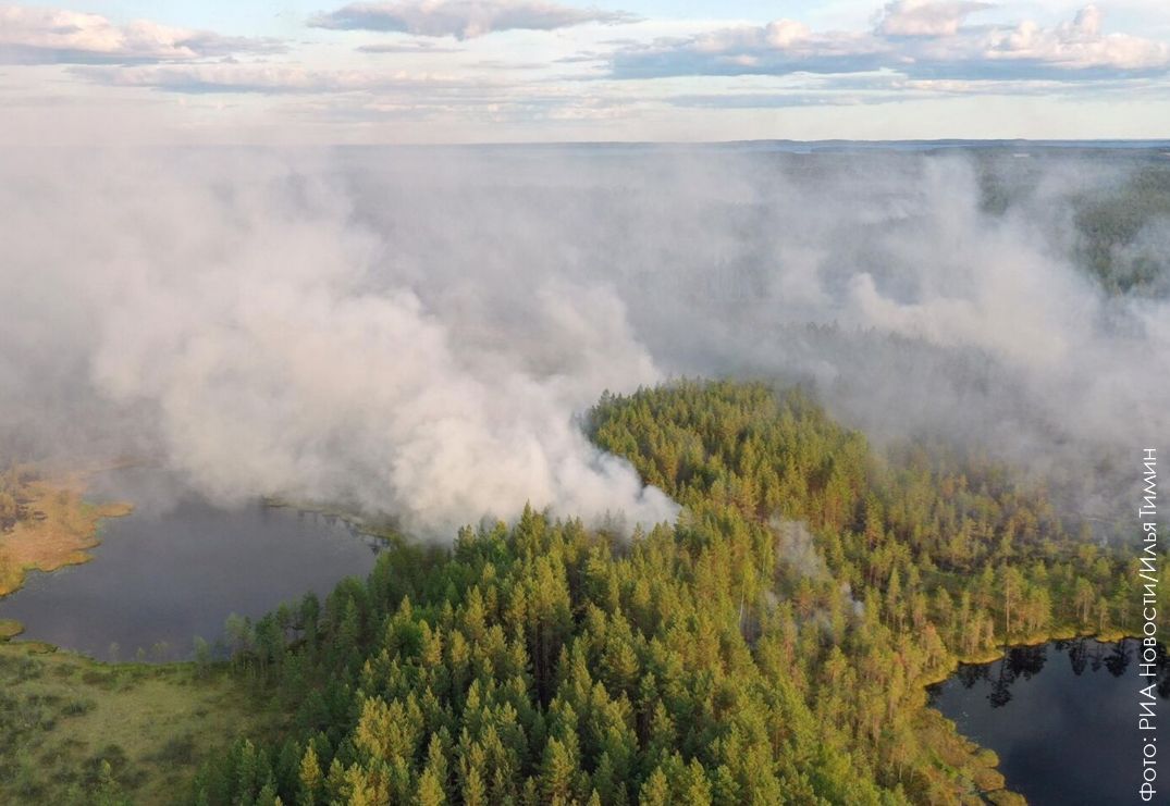 Спасатели тушат пожар в Пудожском районе