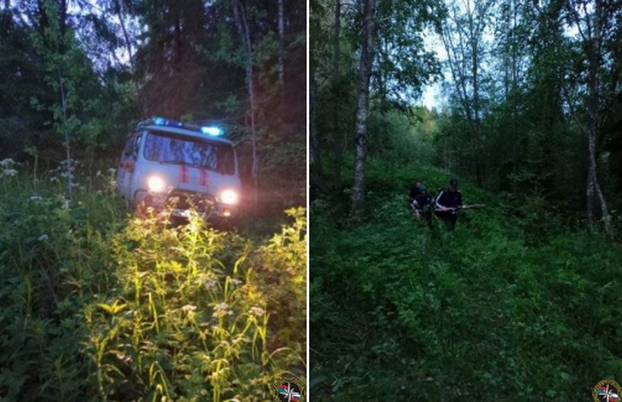 В Сортавальском районе на туристов вышел медведь