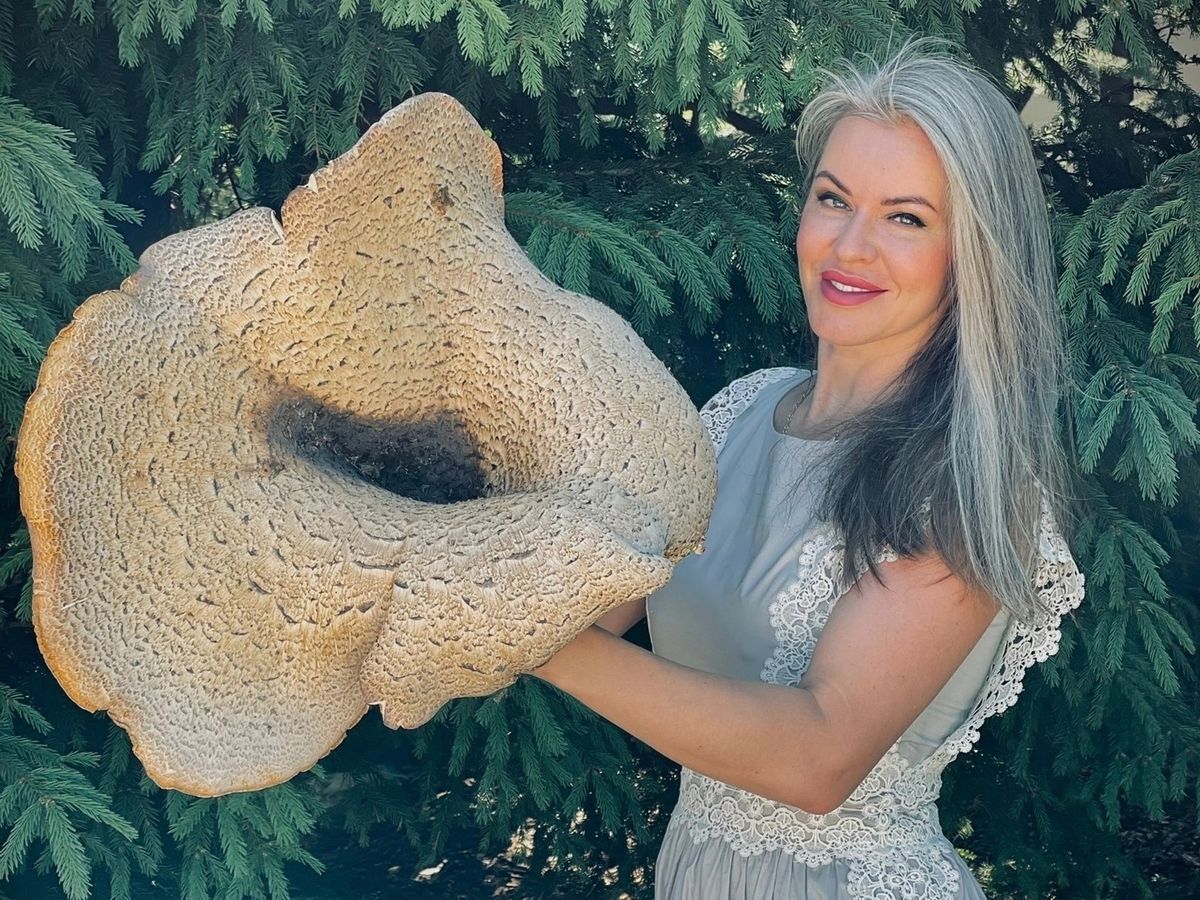 В соседнем регионе нашли гриб размером с ребенка