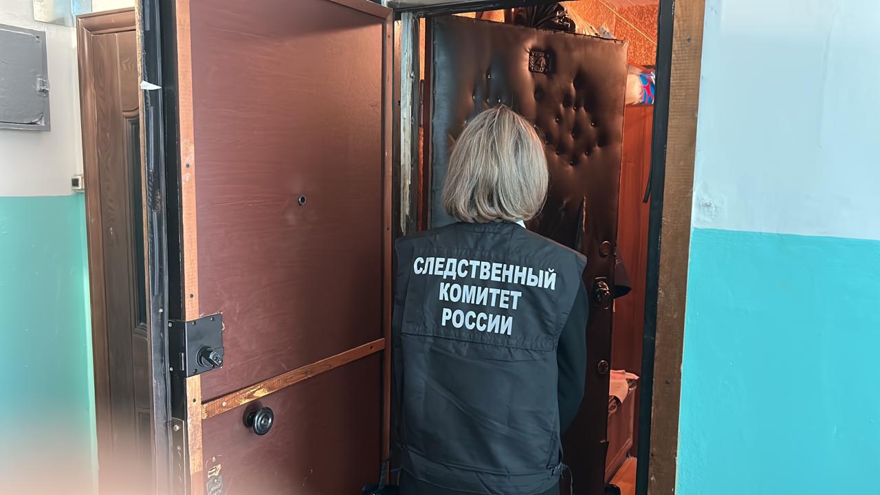 Жительница Петрозаводска убила ножом собственного 40-летнего сына