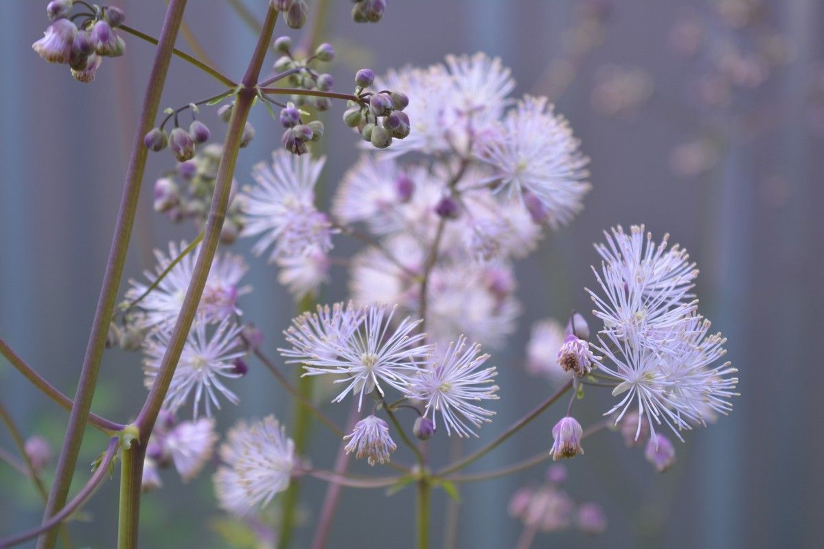 До +27°С, в отдельных районах грозы: прогноз погоды на 29 июня