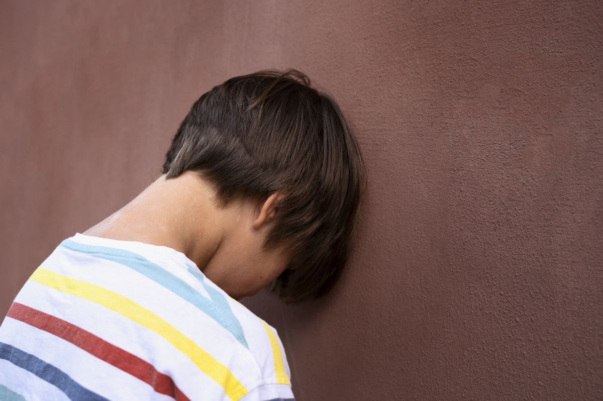 Избитому в пудожской школе ребенку выплатят компенсацию морального вреда