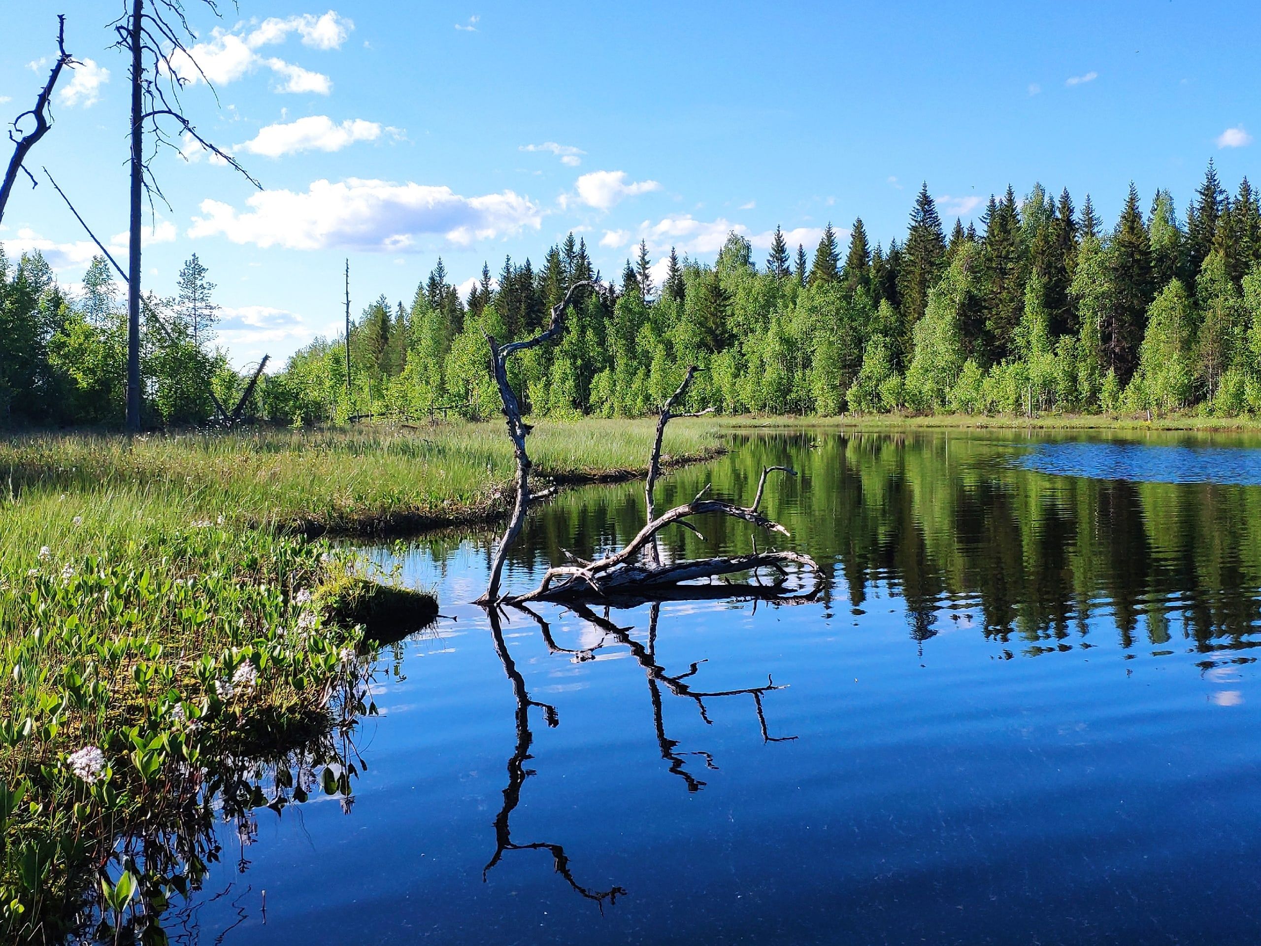 Синоптики рассказали, задержится ли в Карелии тепло
