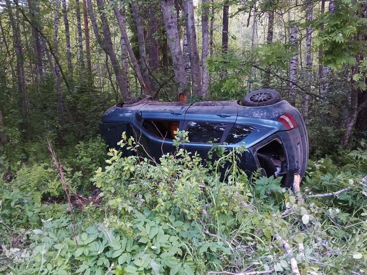 Автомобиль вылетел в кювет в Пряжинском районе