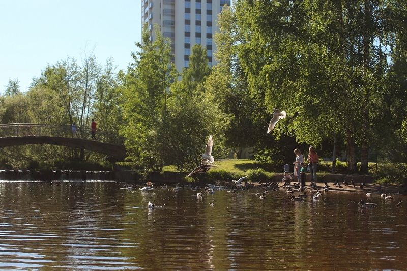 Карельские синоптики рассказали, когда погода наладится
