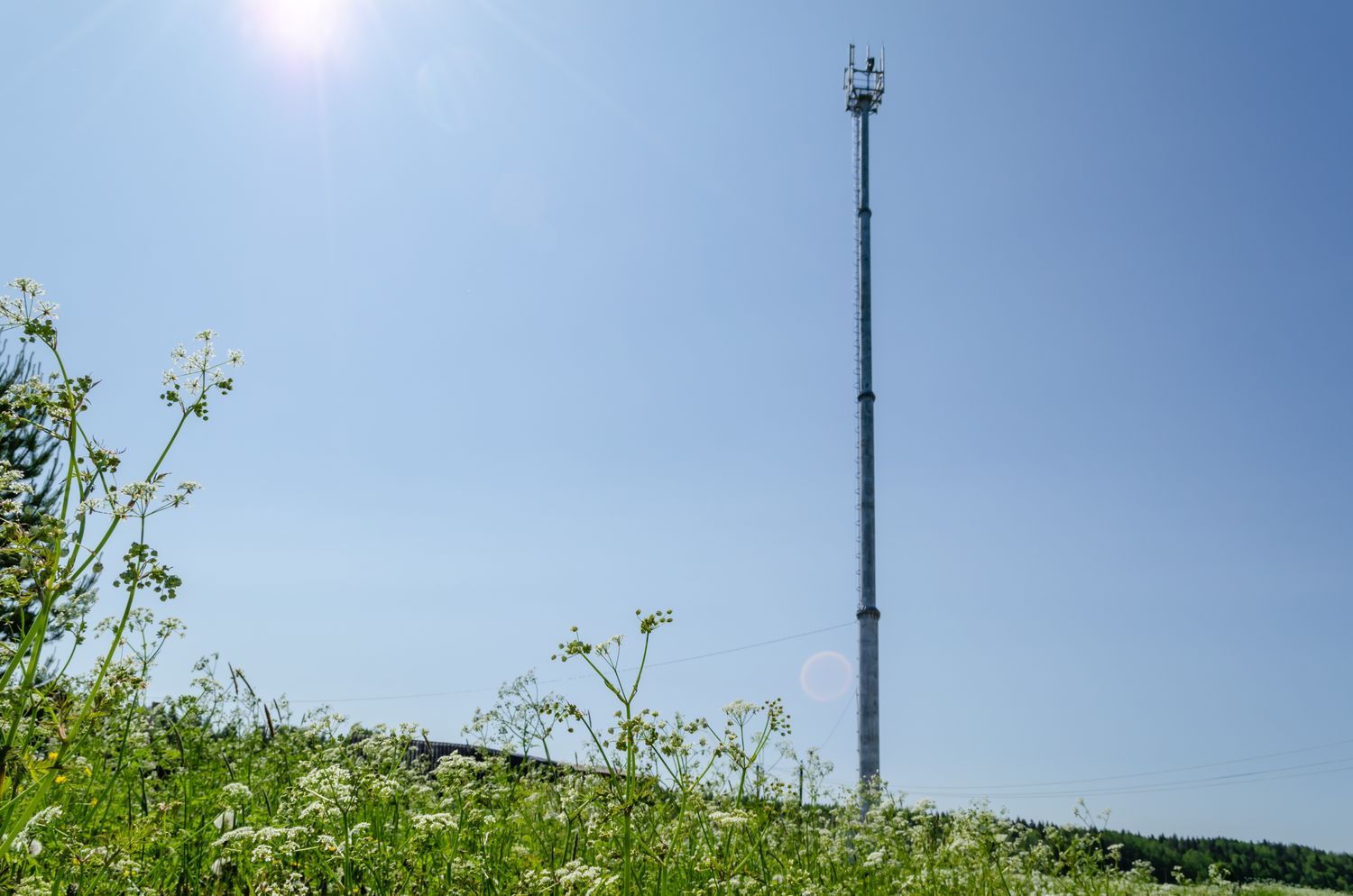 Высокоскоростной интернет и устойчивая мобильная связь пришли в поселок Нелгомозеро