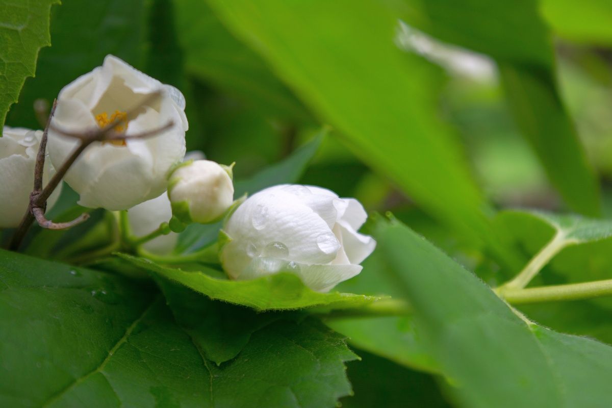 Дожди не прекращаются: прогноз погоды на 15 июля