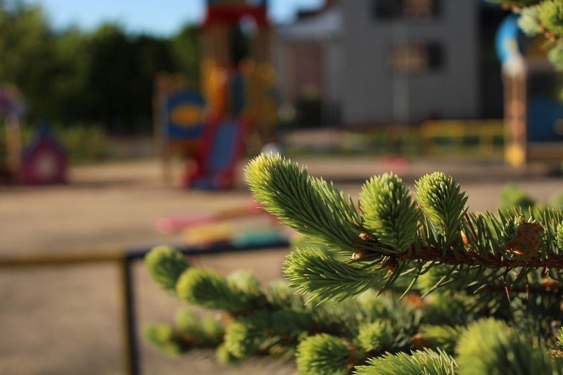 Кратковременные дожди и +20°С. Прогноз погоды в Карелии на 2 июля