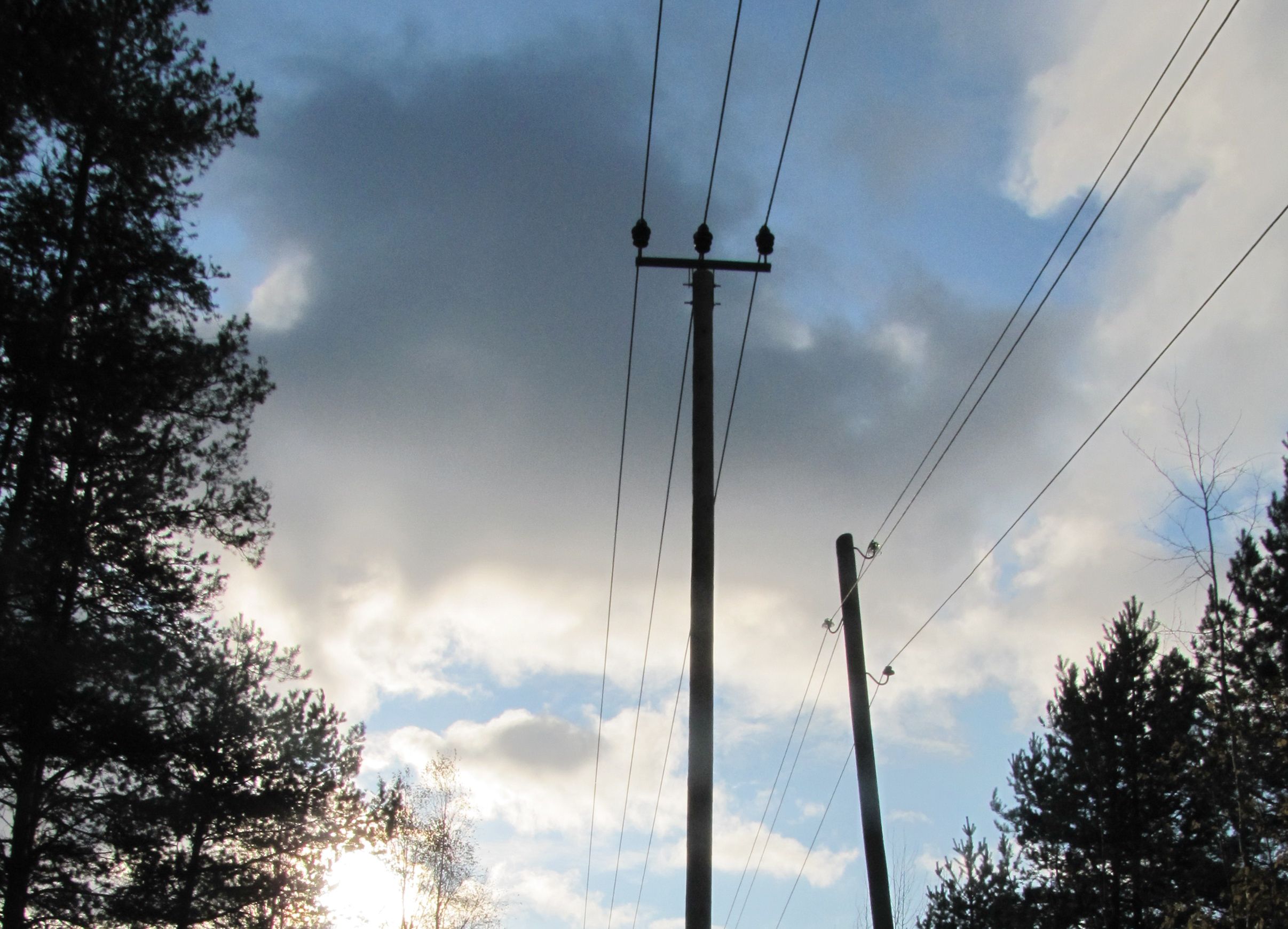 О возможных отключениях электроэнергии предупредила Прионежская сетевая компания