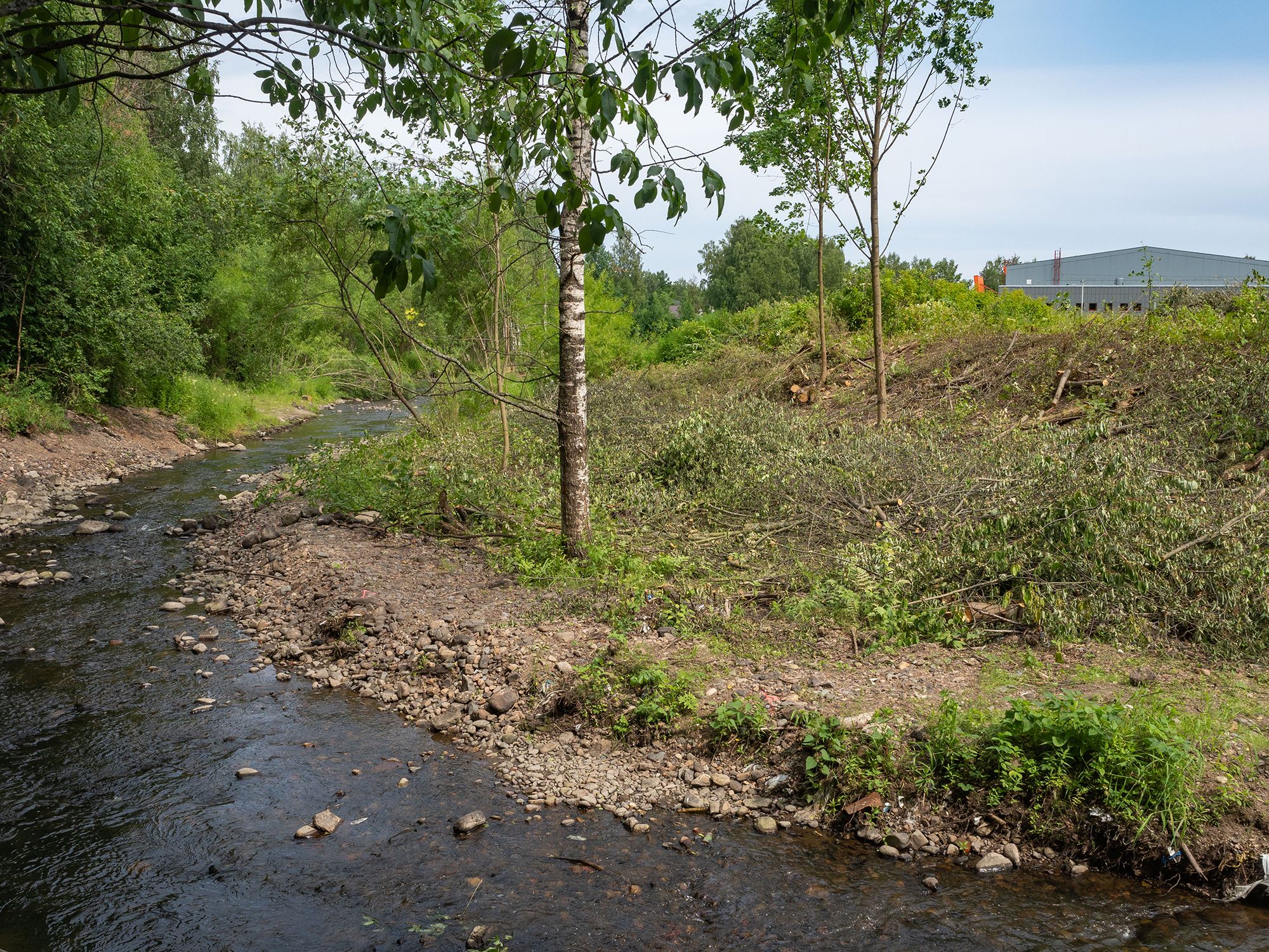 В мэрии Петрозаводска рассказали, почему разрешили сносить деревья в водоохранной зоне на месте строительства «Луми-2»