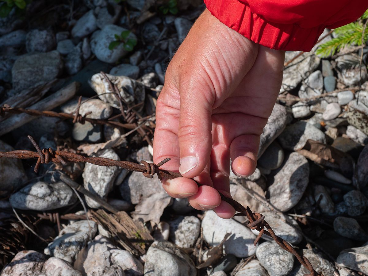 Острова в карельском Заонежье начали очищать от финской колючей проволоки