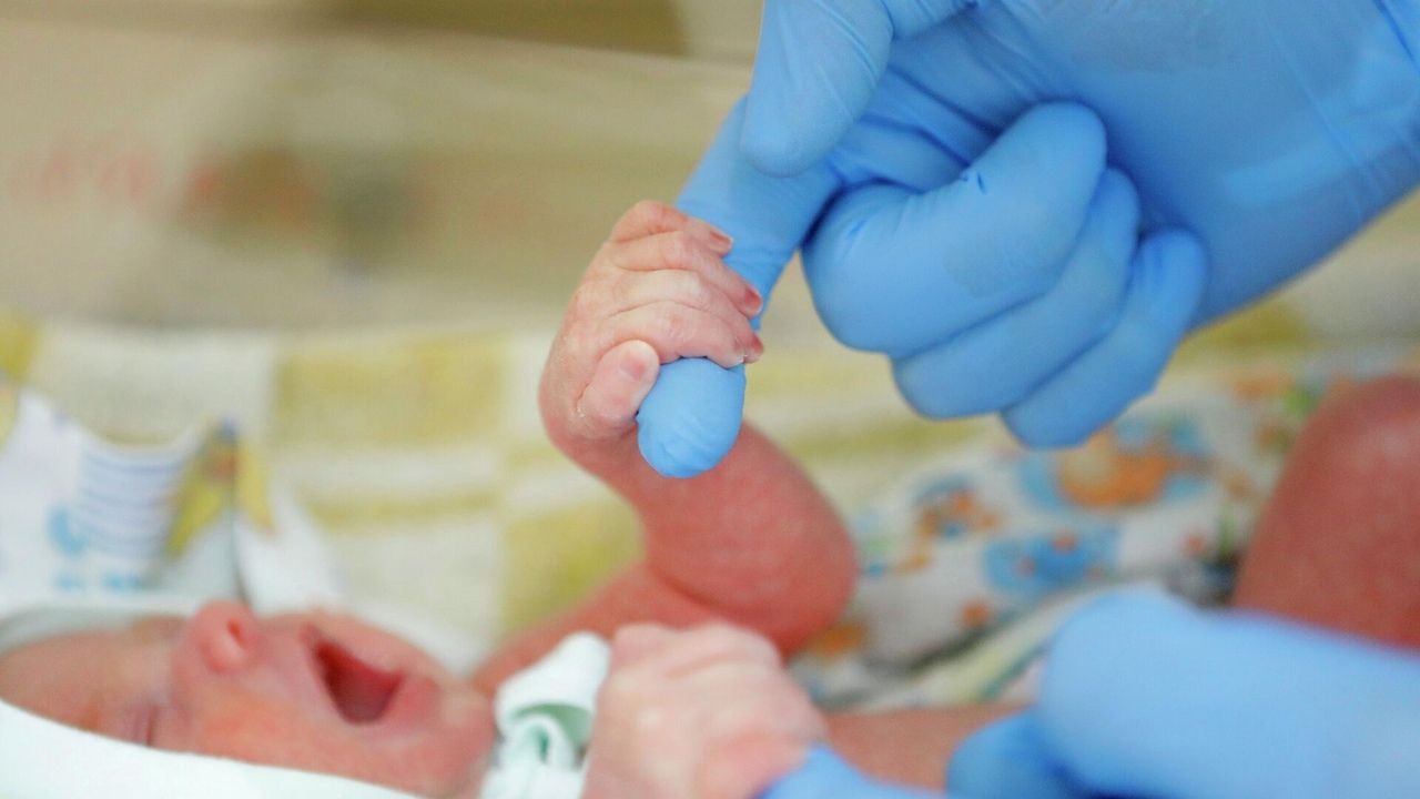В Карелиястате рассказали, сколько малышей родилось в республике в 2022 году В Карелиястате рассказали, сколько малышей родилось в республике в 2022 году