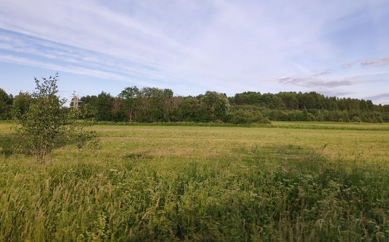 Элиссан Шандалович: Госдума приняла законопроект парламента Карелии о бесплатных участках