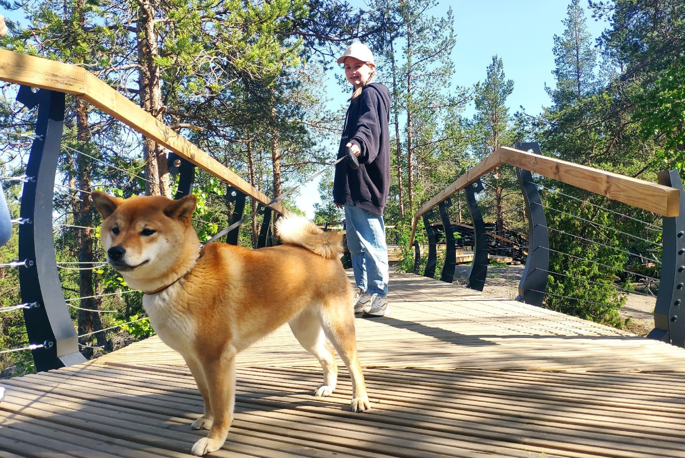 Неизвестные люди запрещают горожанам гулять с собаками в Парке мира в Петрозаводске