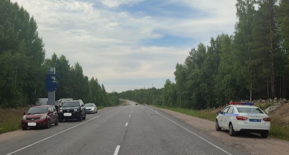 Восьмилетняя девочка погибла в ДТП в Карелии около стелы «Полярный круг»