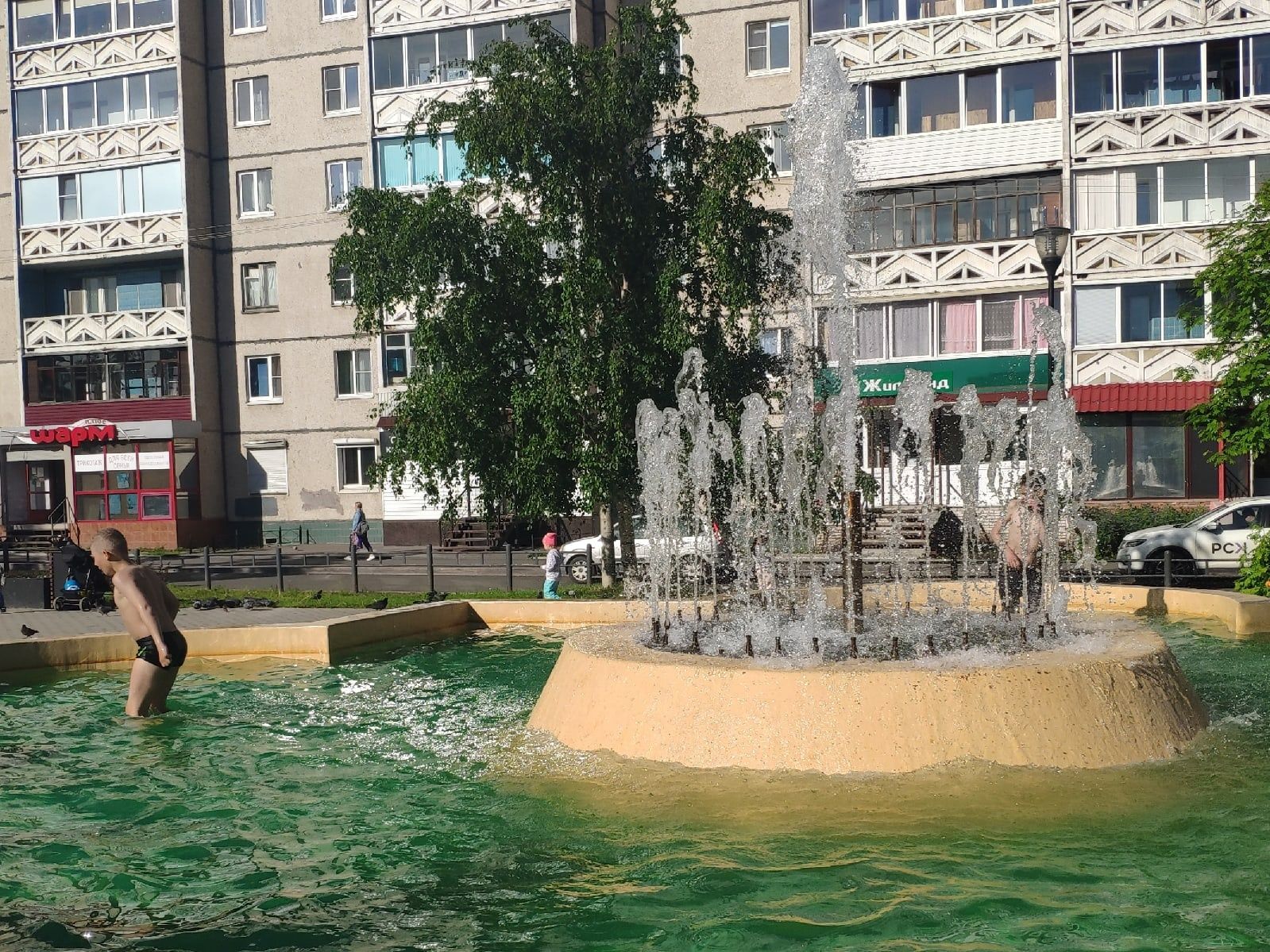 Лето! Прогноз погоды в Карелии на первый день августа