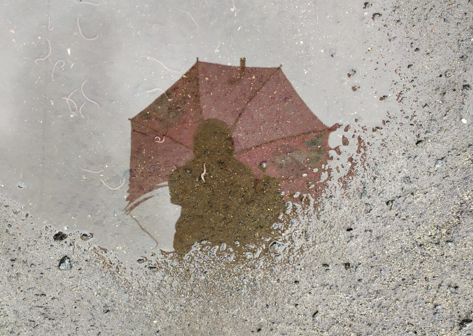 Дожди, косые дожди: прогноз погоды на 23 июля