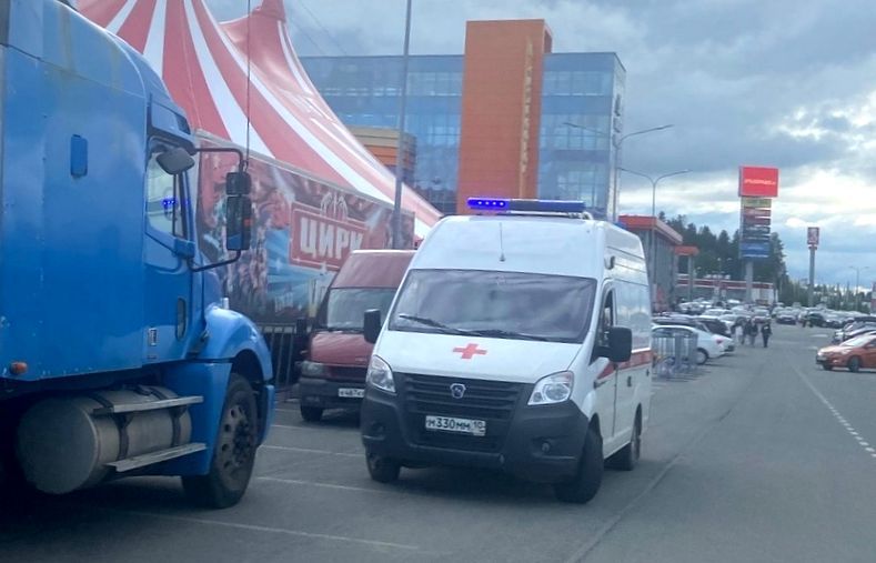 В Петрозаводске медведь напал на дрессировщицу в цирке