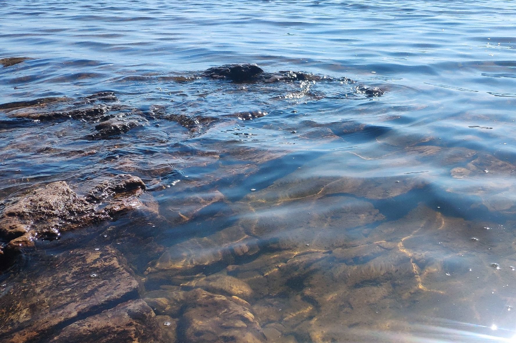 Найдено тело 37-летнего жителя Пряжинского района, который пропал на рыбалке