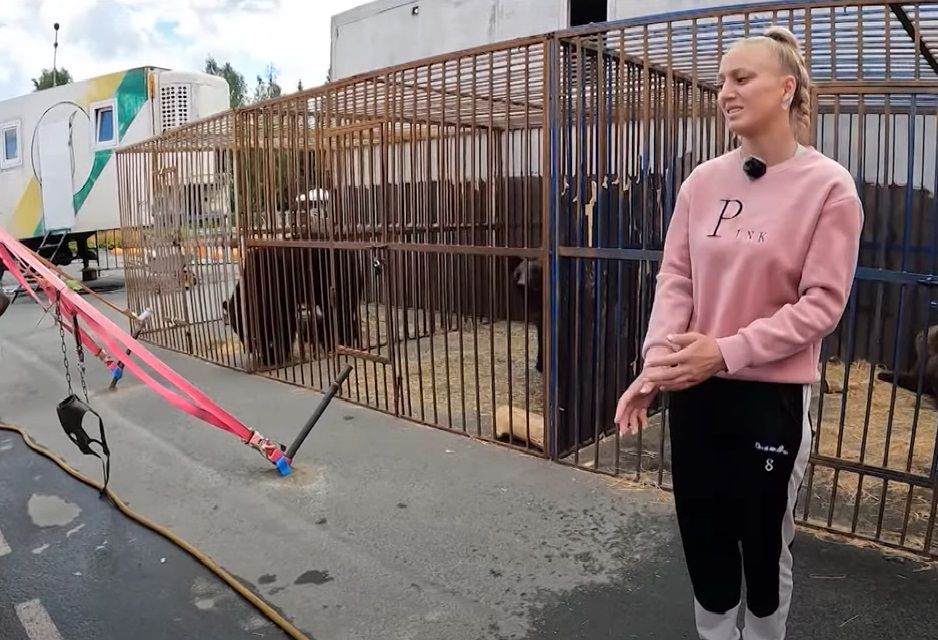 Дрессировщица, на которую в цирке напал медведь, снова выступает с ним в Петрозаводске