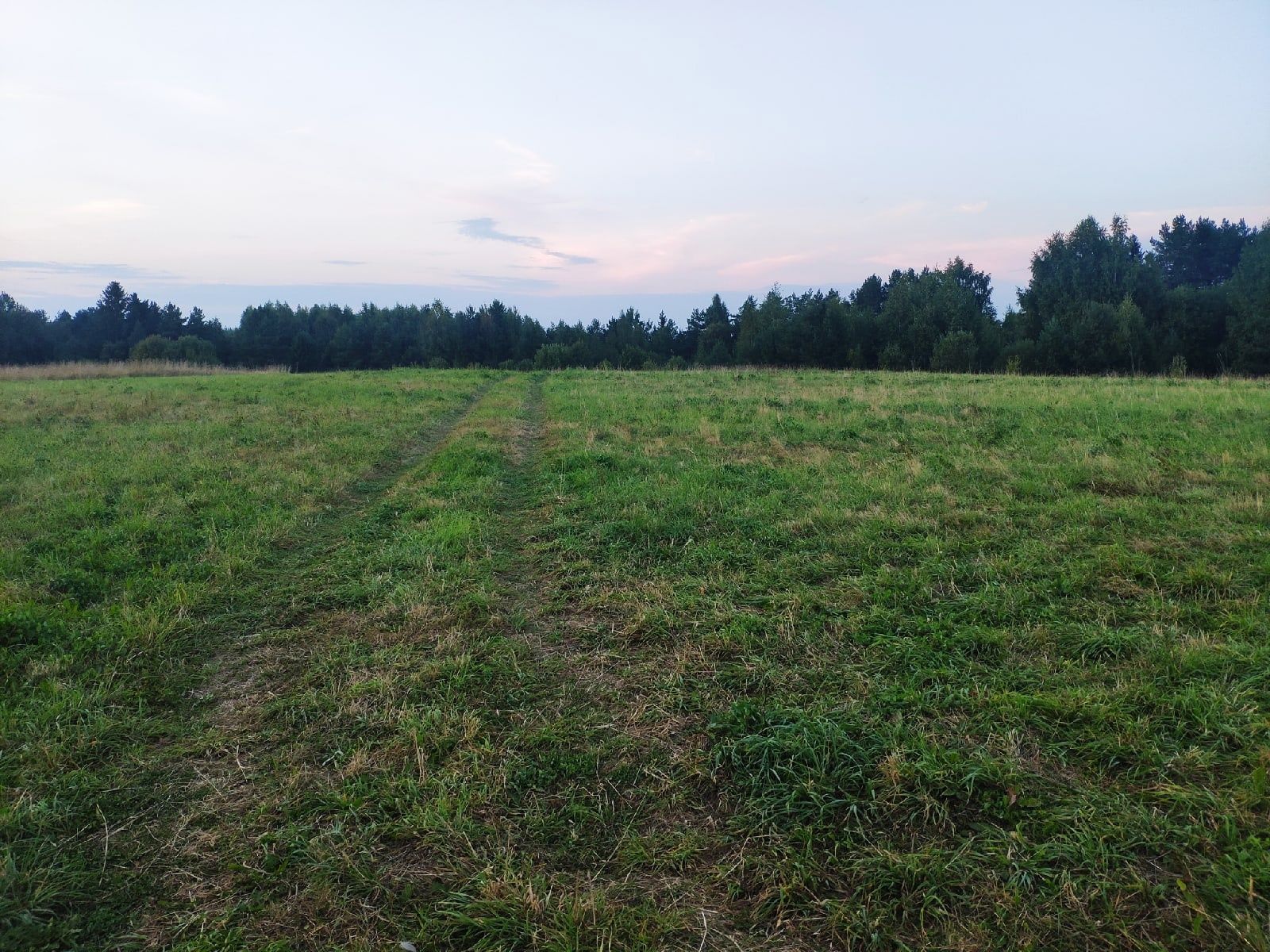 Награжденные участники СВО смогут получить бесплатные земельные участки в Карелии