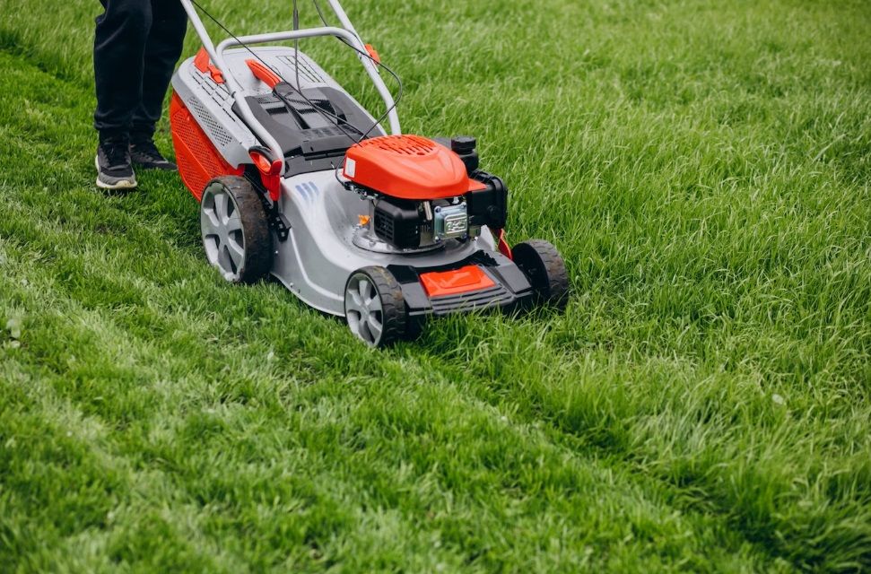 В Петрозаводске выявили почти 40 нарушений правил содержания дворов