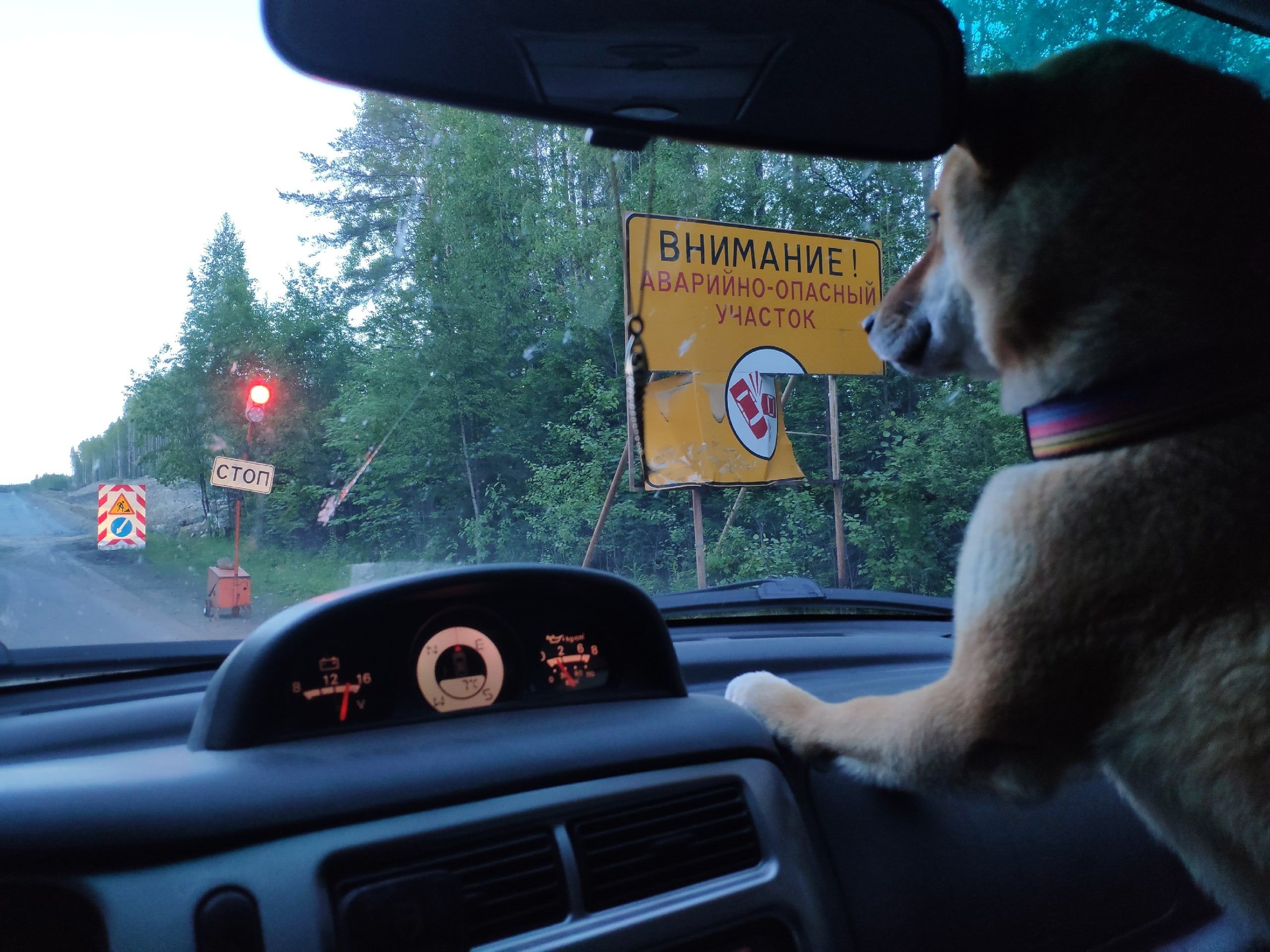 На участке трассы «Кола» около Пряжи введут реверсивное движение