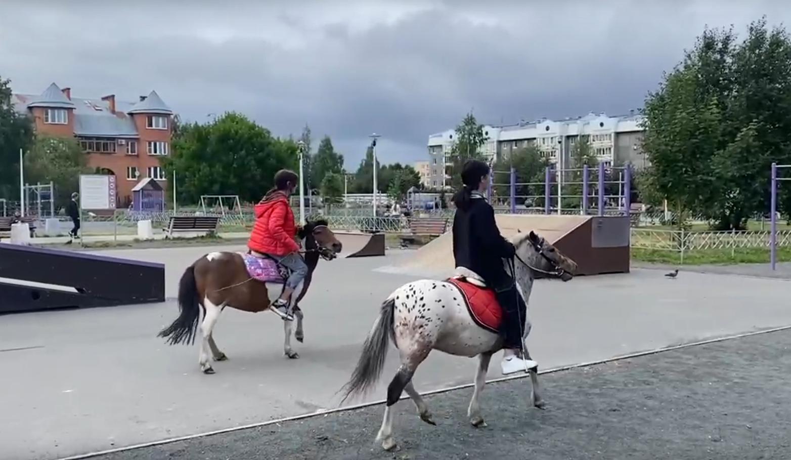 Юные петрозаводчанки устроили в городском сквере скачки на неуправляемых пони
