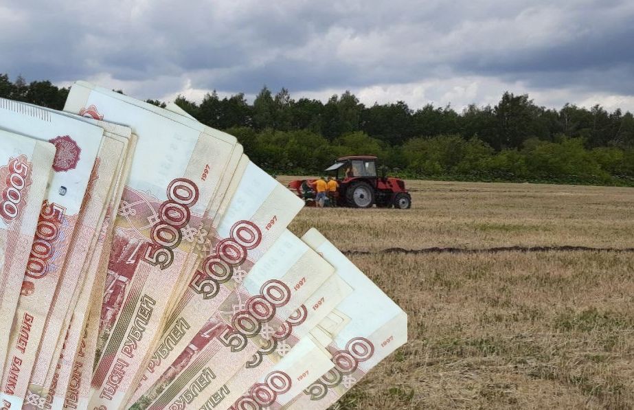 МВД Карелии выявило схему хищения более 130 млн рублей, которые предназначались карельским фермерам