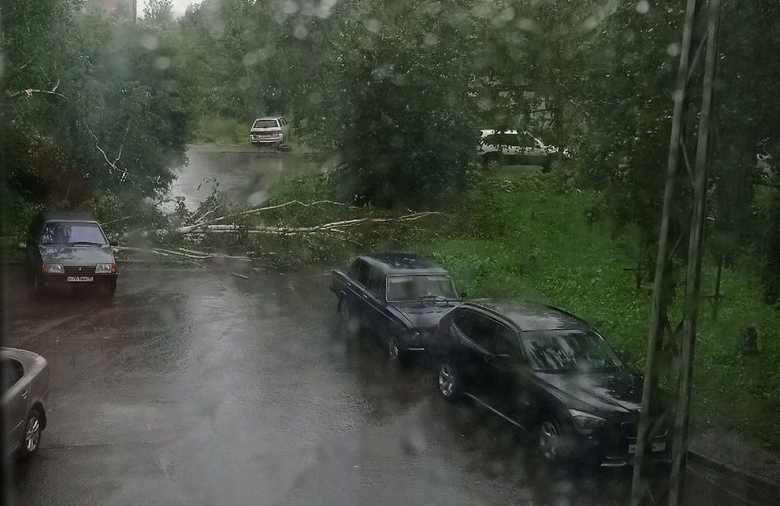 16 деревьев и остановка упали в Петрозаводске из-за непогоды