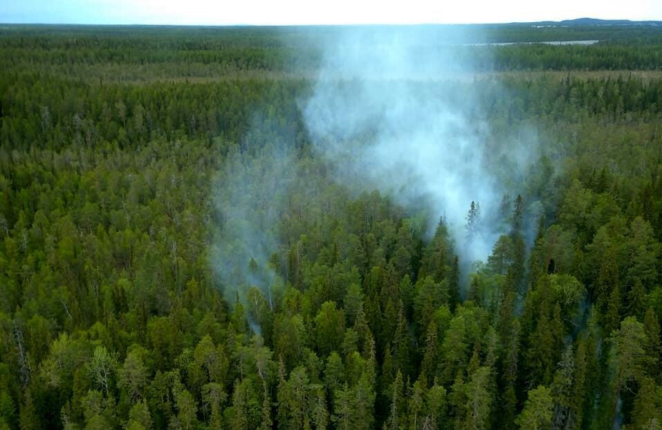 Из-за грозы в национальном парке «Калевальский» произошёл пожар