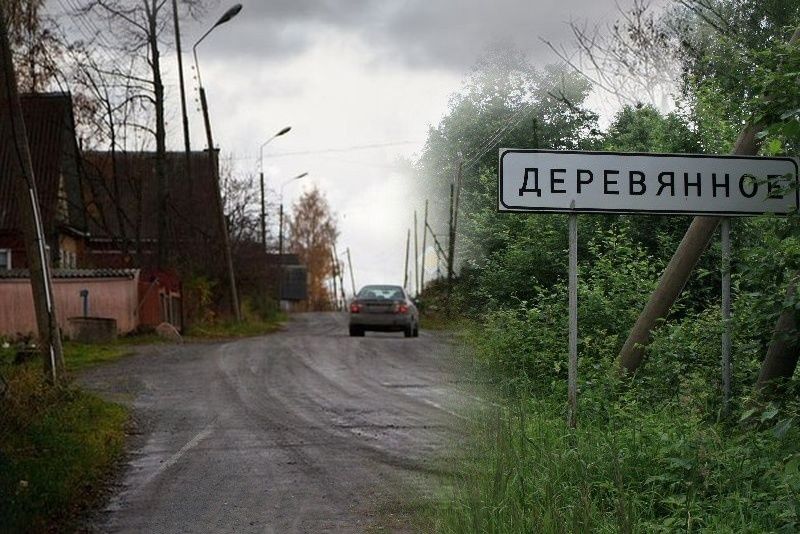 Обвиняемого в убийстве женщины жителя Прионежского района заключили под стражу