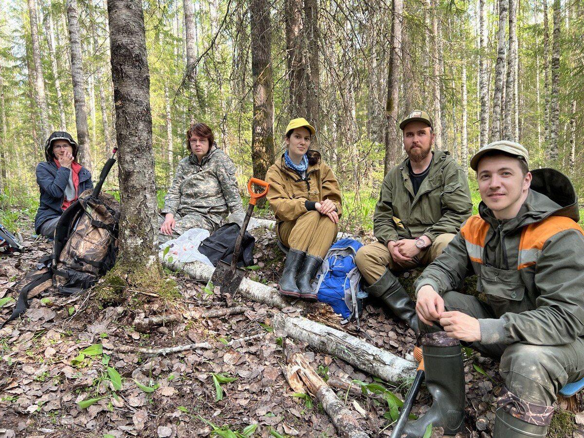 Тестовый полигон для изучения запасов углерода в сосновых лесах создают в Карелии