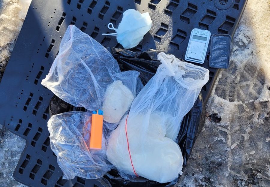 Полиция Карелии пресекла крупный канал поставки наркотиков в республику из Индии