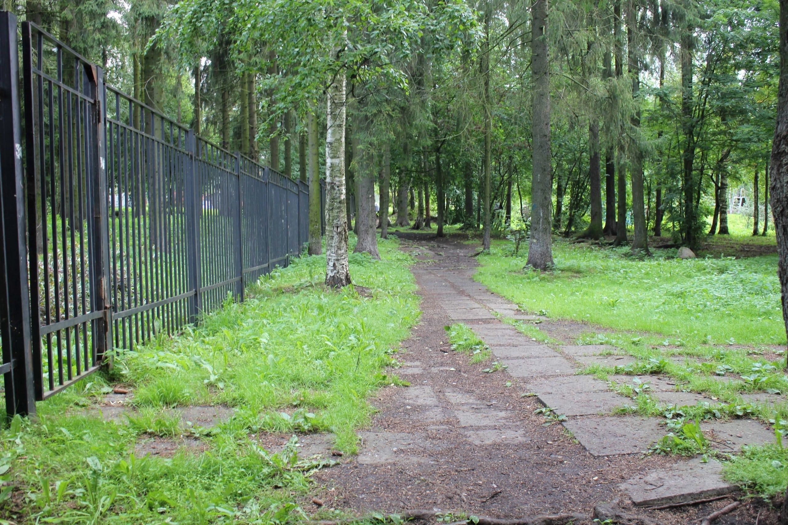 Ринтальский сквер приведут в порядок в Петрозаводске