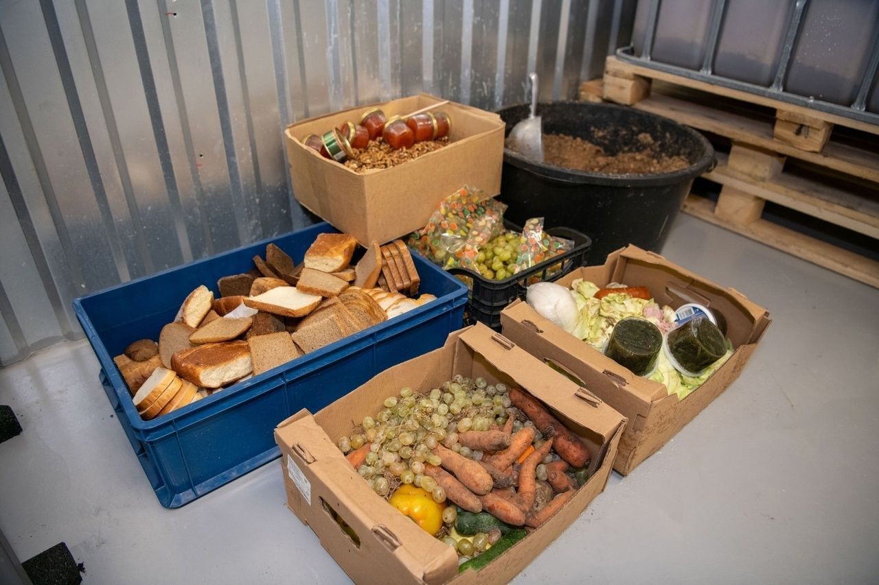 Крупная торговая сеть подключилась к проекту по переработке пищевых отходов в Карелии