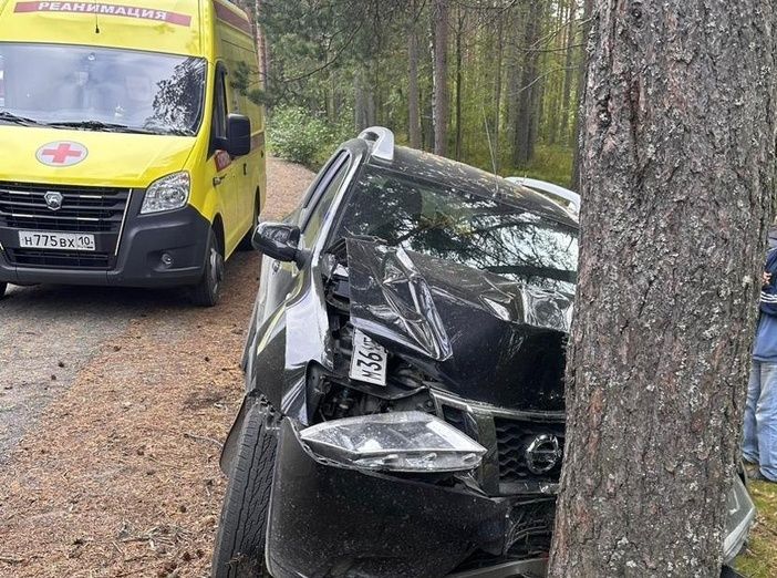 В Пряжинском районе автомобиль вылетел в кювет и врезался в дерево
