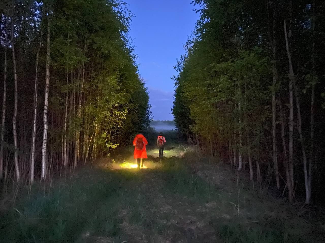 34 заявки на поиск пропавших получили волонтеры отряда «ЛизаАлерт» в июле