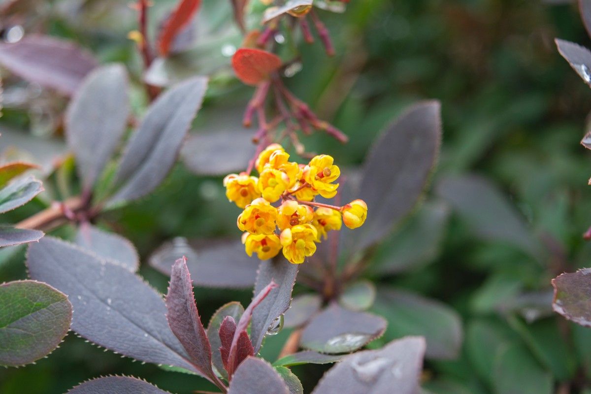 Местами грозы,+25°С. Прогноз погоды в Карелии на 6 августа