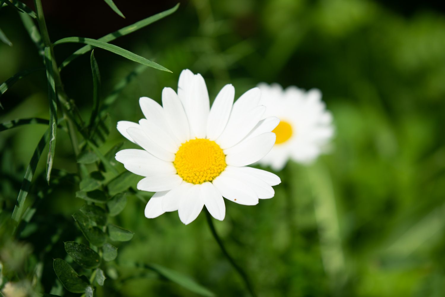 Местами в Карелии потеплеет до +28°С. Прогноз погоды на 9 августа