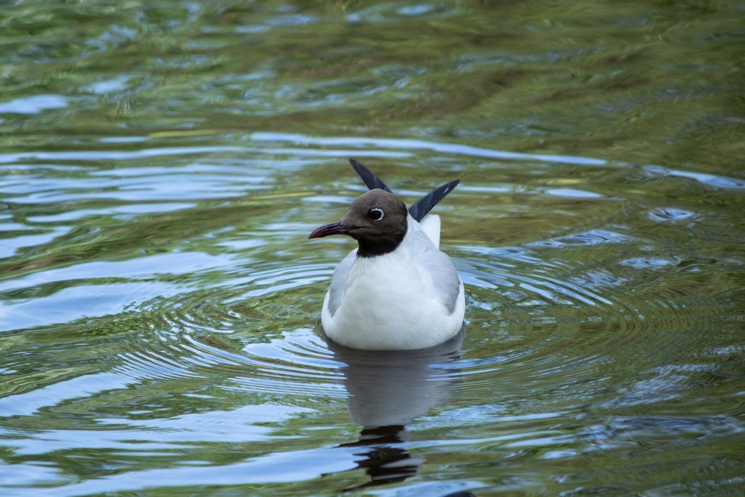 До +21°С и без осадков. Прогноз погоды на 20 августа