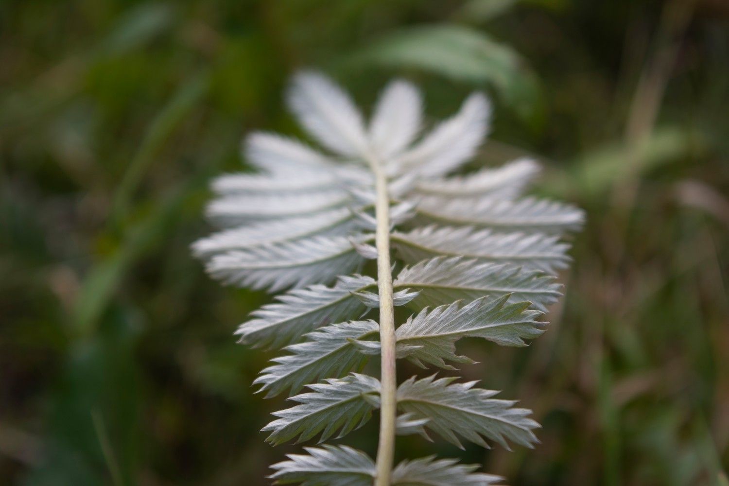 Ночью местами по Карелии +1, +3°С: прогноз погоды на 22 августа