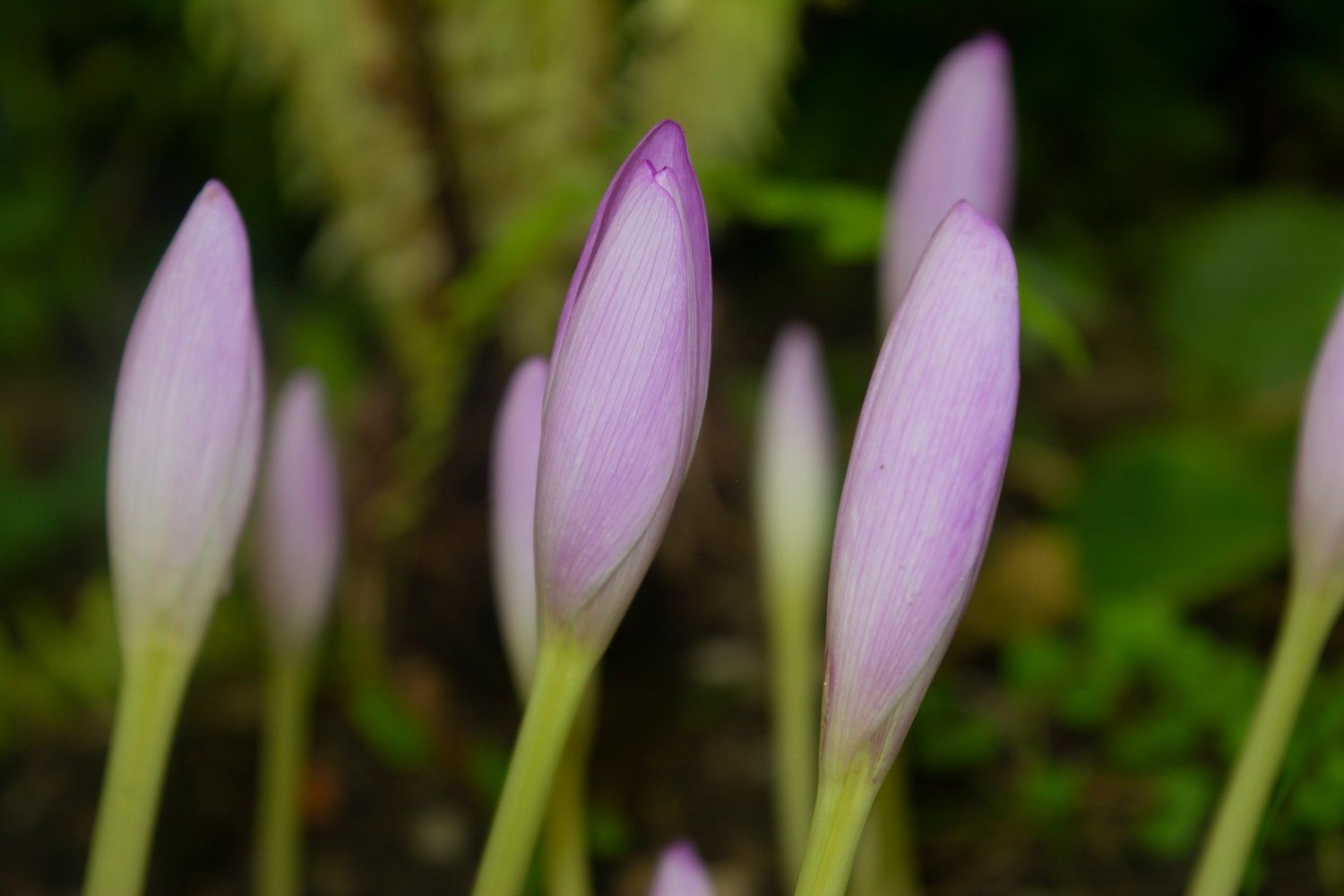 Тепло и сухо будет в понедельник в Карелии. Прогноз погоды на 21 августа