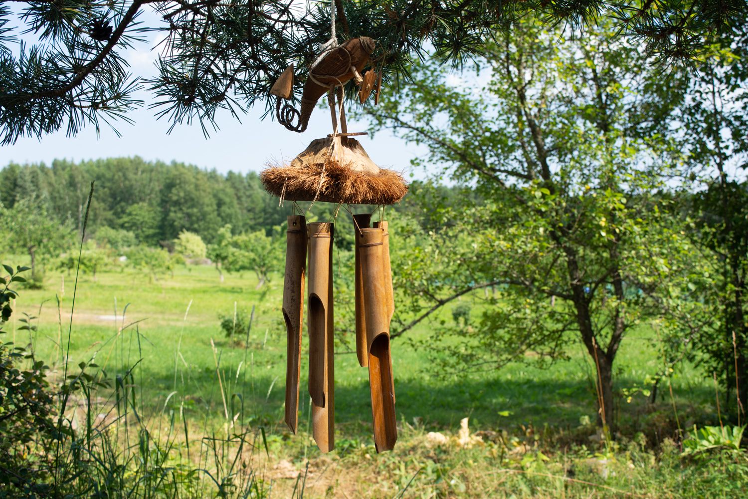 Пятница в Карелии будет жаркой. Прогноз погоды на 11 августа