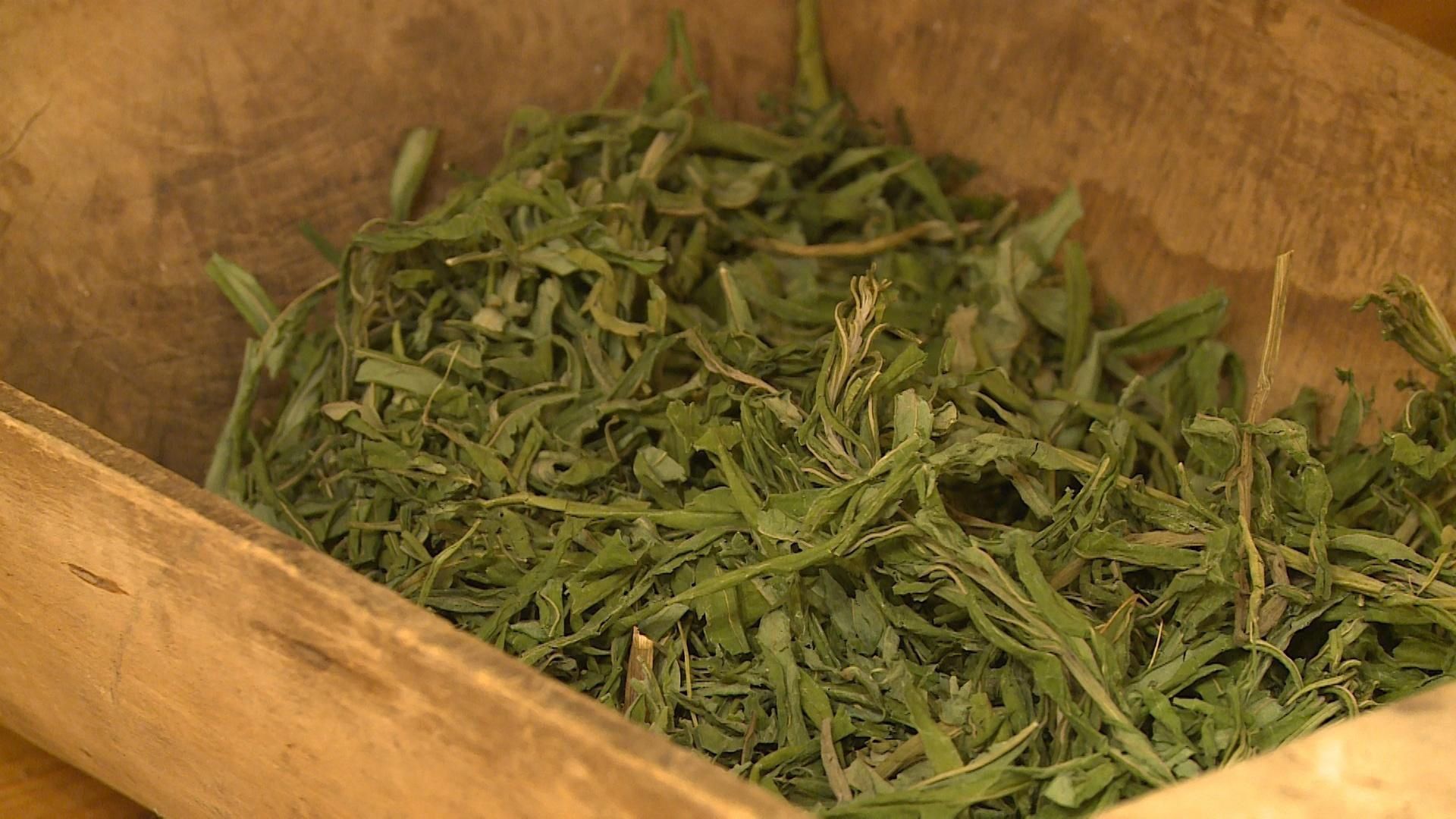 Музей иван-чая открылся в Лахденпохье