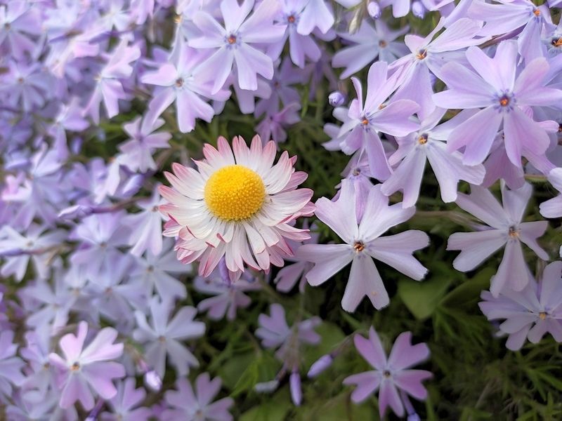 Днем до +21°С. Прогноз погоды в Карелии на 27 августа