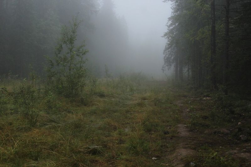 В Карелии раскрыто убийство 30-летней давности