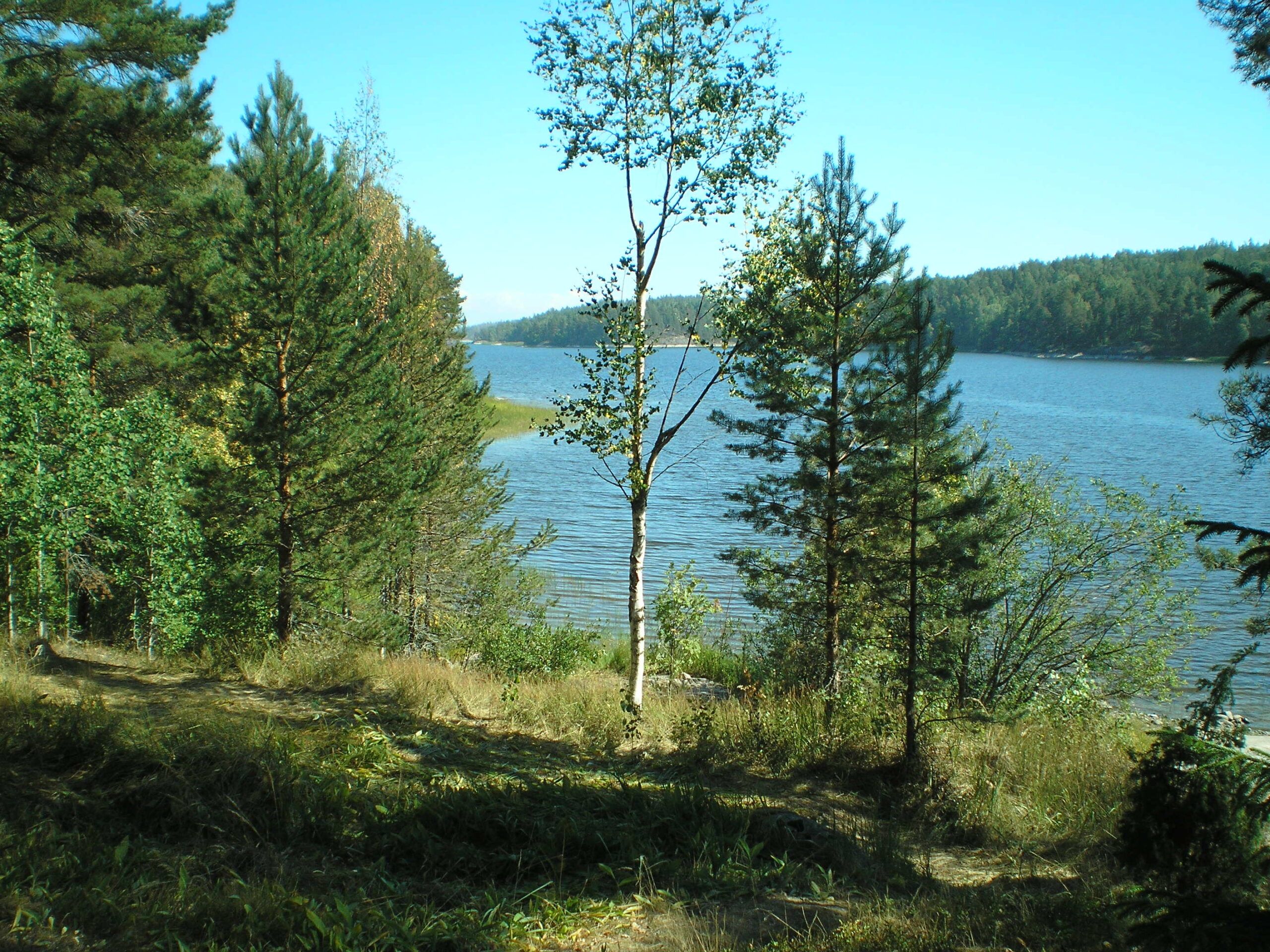 Инвесторам продают остров в Карелии