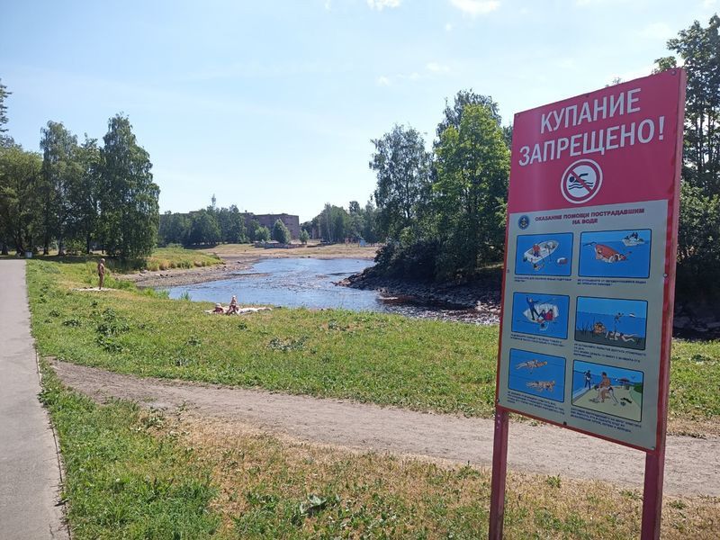 В пробах воды из Лососинки нашли бактерии группы кишечной палочки