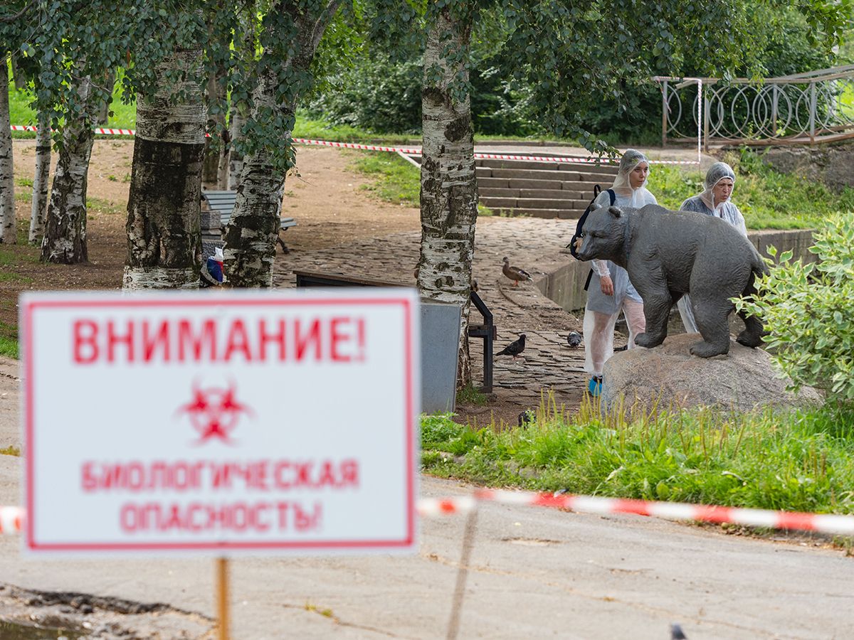 Территорию, где в Петрозаводске зафиксировали птичий грипп, обнесли защитной лентой